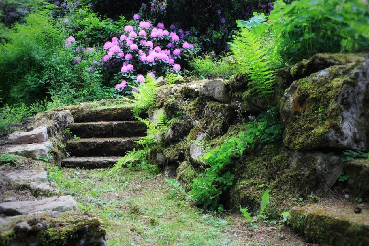 Villa Brodthage, App. 4 Walkenried المظهر الخارجي الصورة